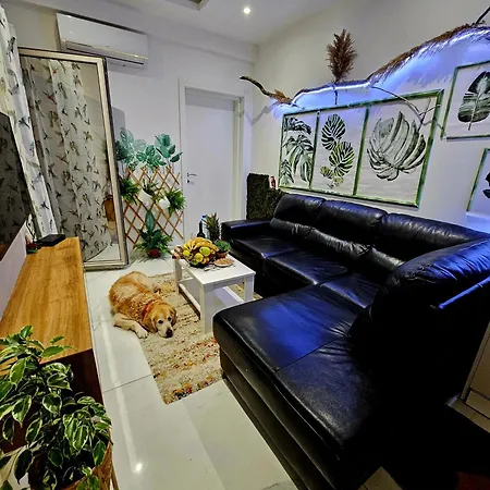 Boutique Dora Jungle *
